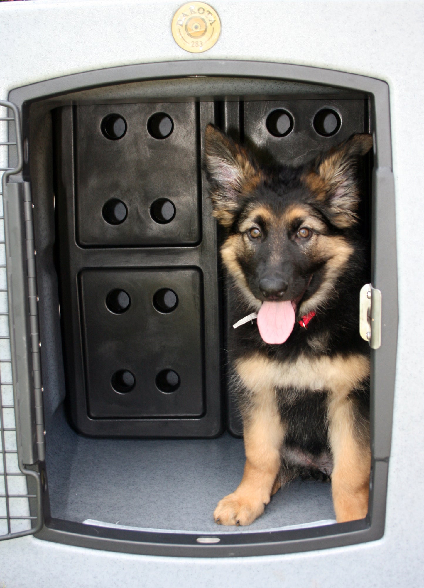 Dakota 283 Forever Insert Kennel Divider - Large