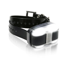 EDGE_1_Mile_Extra_Dog_Collar