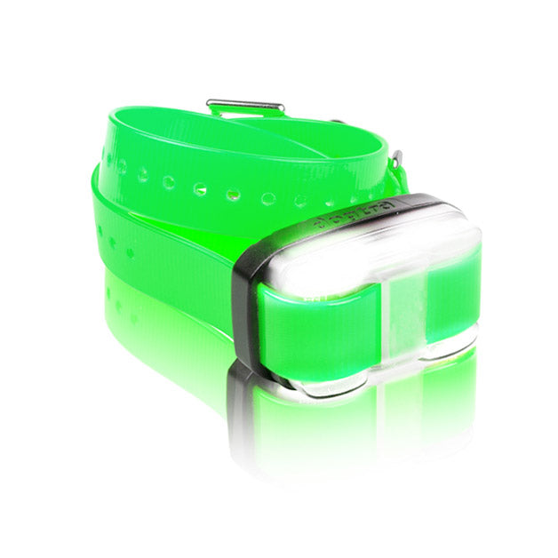 EDGE_1_Mile_Extra_Dog_Collar