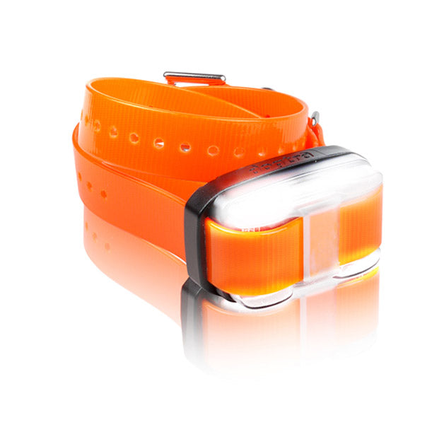 EDGE_1_Mile_Extra_Dog_Collar