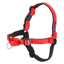 Deluxe_Easy_Walk_Type:_Harness
