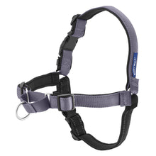 Deluxe_Easy_Walk_Type:_Harness