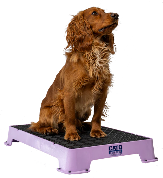 Cato Place Board with Rubber Surface