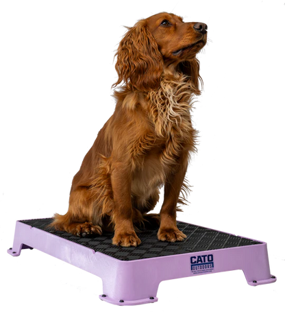 Cato Place Board with Rubber Surface