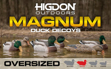 Magnum Mallard Feeder Pack Foam Filled All Drakes 2 butts,2 skimmers (4pk)