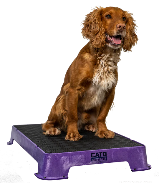 Cato Place Board with Rubber Surface