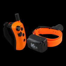 RAPT1450 Rapid Access Pro Trainer Beeper