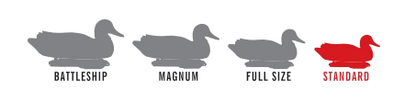 Standard Gadwall Foam Filled (6pk)
