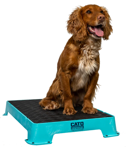 Cato Place Board with Rubber Surface