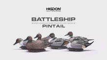 Battleship Pintail Foam Filled (6pk)