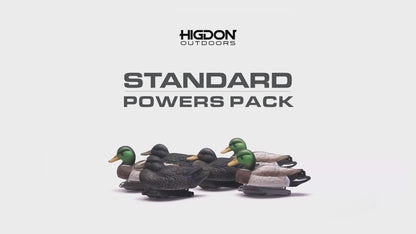 Standard Powers' Pack Foam Fill 3 Mal Drakes, 3 Black Ducks (6pk)