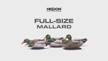 Full-Size Mallard (6pk)