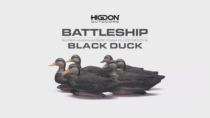 Battleship Black Duck Foam Filled (6pk)