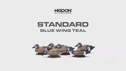 Standard Blue Wing Teal, Foam Filled