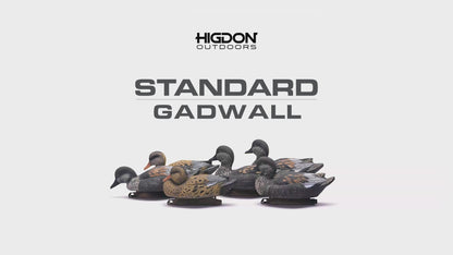 Standard Gadwall Foam Filled (6pk)