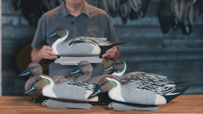 Battleship Pintail Foam Filled (6pk)