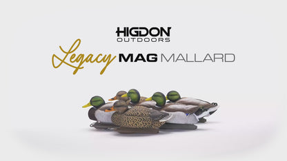 Legacy Magnum Mallard Foam Filled (6pk)
