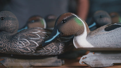 Standard Pintail Foam Filled (6pk)