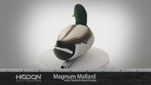 Magnum Mallard – 6 Pack