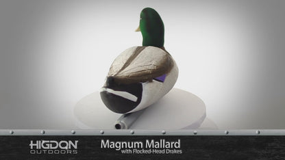 Magnum Mallard – 6 Pack